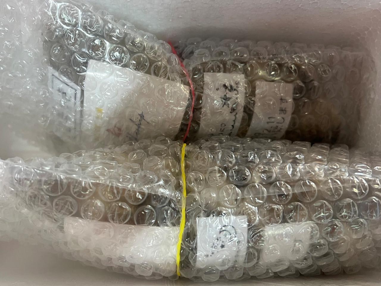 北海道サロマ湖 むき身牡蠣：1年と2年の食べ比べセット